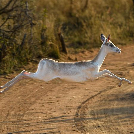 Waterberg Game Park Villa Mokopane Eksteriør billede