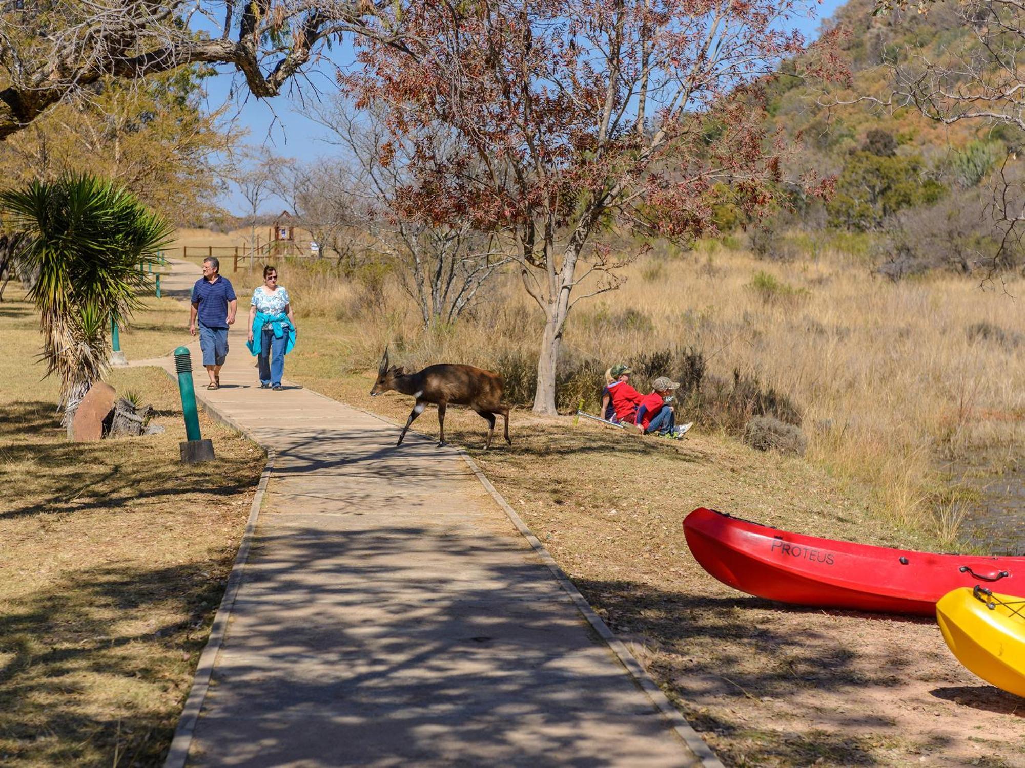 Waterberg Game Park Villa Mokopane Eksteriør billede